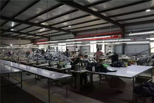 農(nóng)村人居環(huán)境綜合整治結(jié)碩果